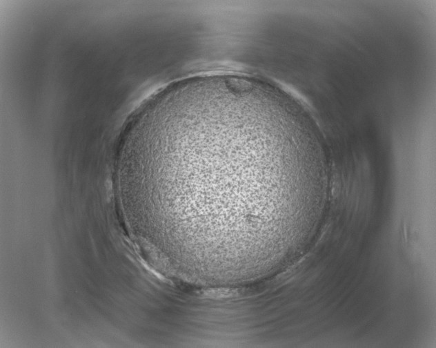 X0000078281407200611172044