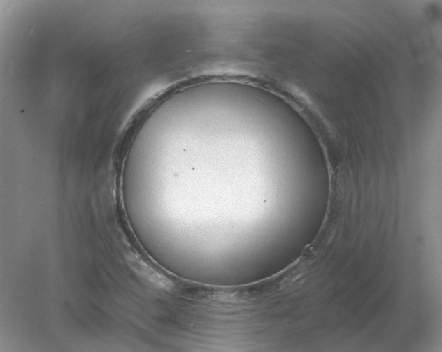 X0000078281408200611172044