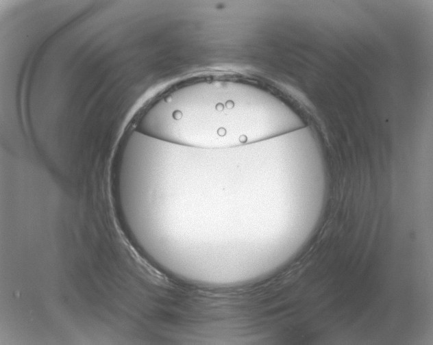 X0000078281412200611172044