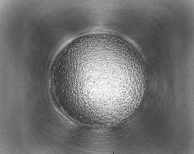 X0000078281415200611172045