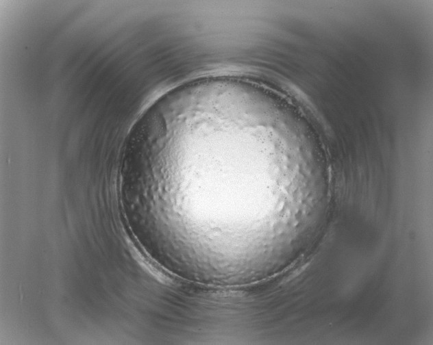 X0000078281417200611172045