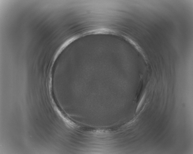 X0000078281418200611172045