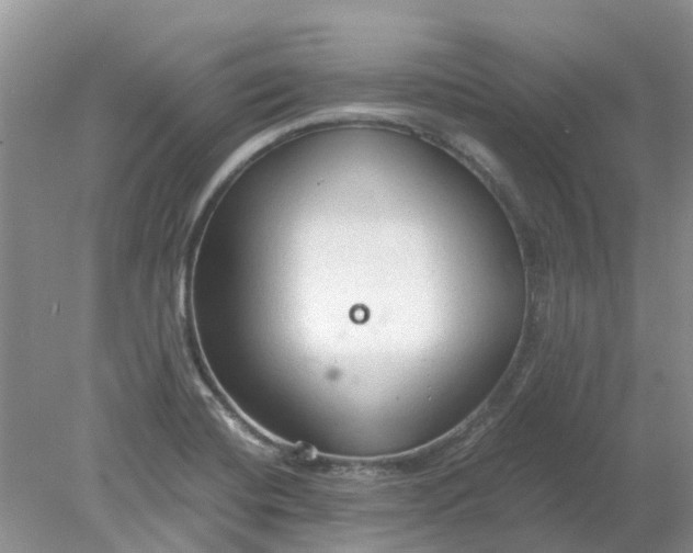 X0000078281420200611172045