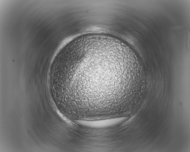 X0000078281421200611172045