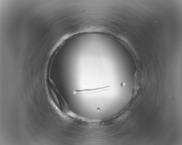 X0000078281422200611172045