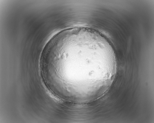 X0000078281423200611172045