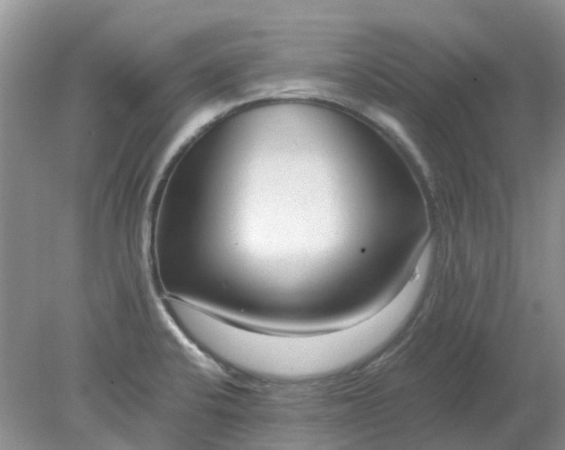 X0000078281424200611172045