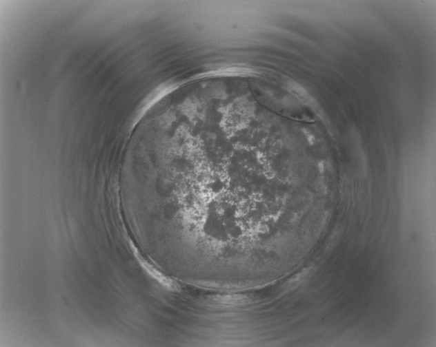 X0000078281425200611172045