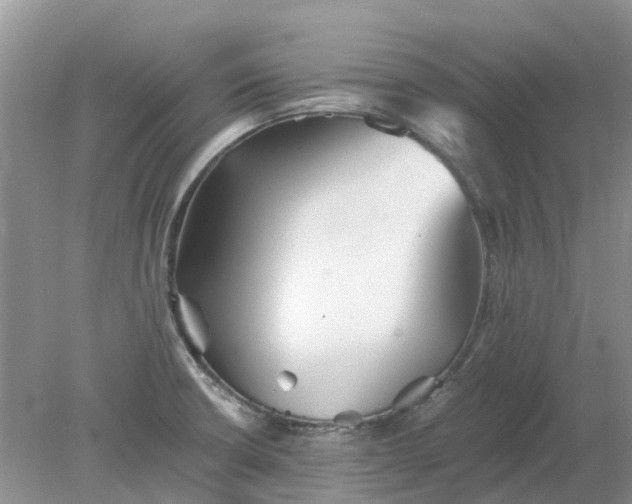 X0000078281426200611172045