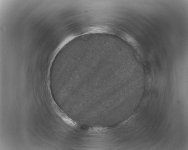 X0000078281427200611172045