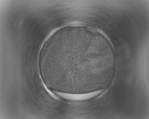 X0000078281429200611172045