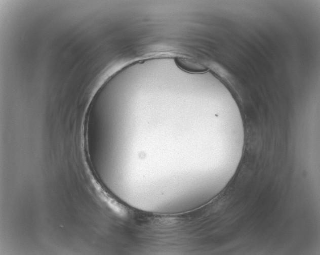 X0000078281431200611172045