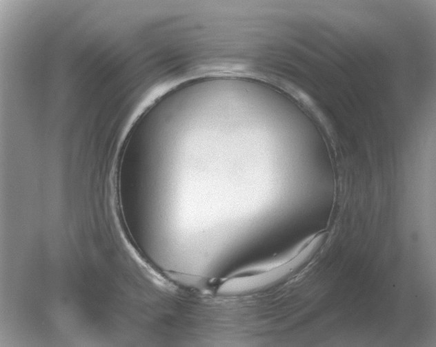 X0000078281432200611172045