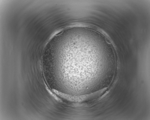 X0000078281433200611172045