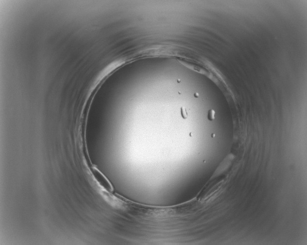 X0000078281434200611172045