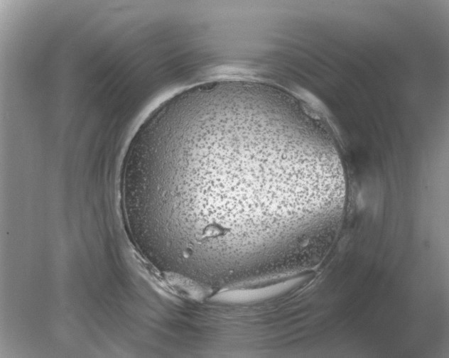 X0000078281435200611172045