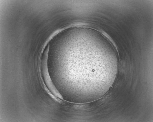 X0000078281437200611172045