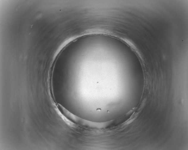 X0000078281438200611172045