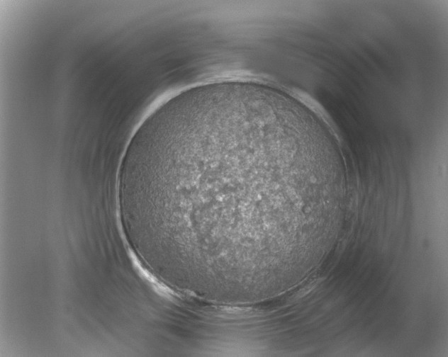 X0000078281439200611172045