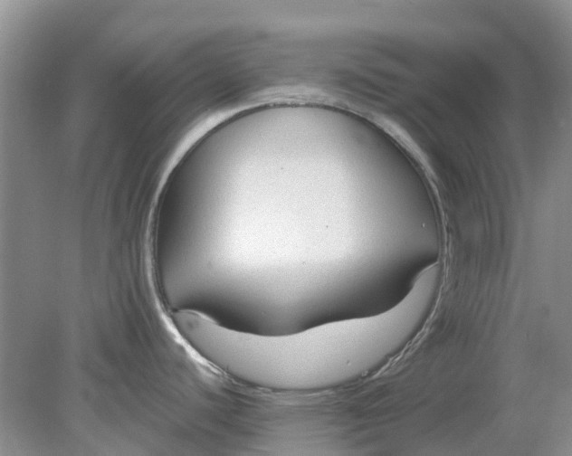 X0000078281440200611172045