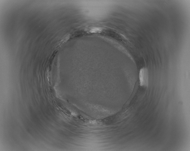 X0000078281443200611172044