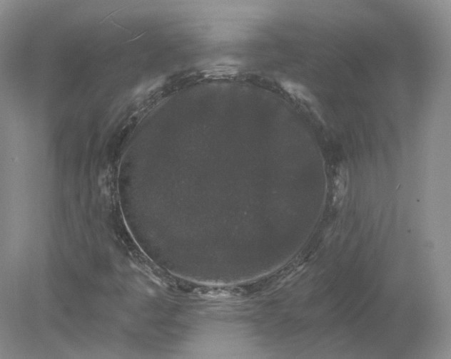 X0000078281445200611172044