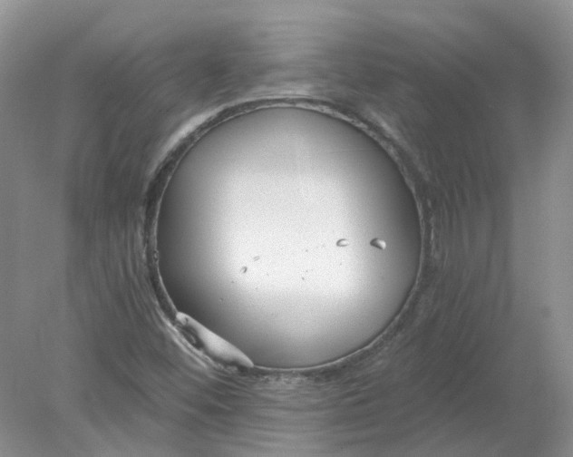 X0000078281452200611172044