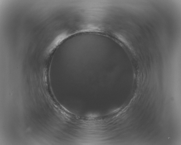 X0000078281455200611172044