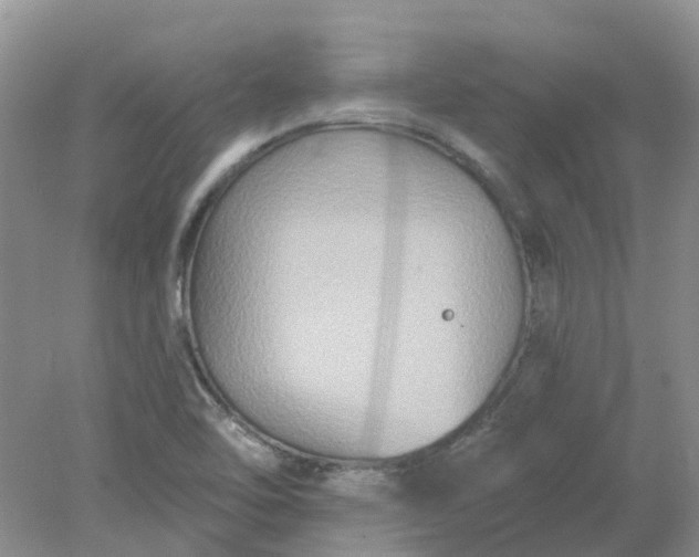 X0000078281462200611172044