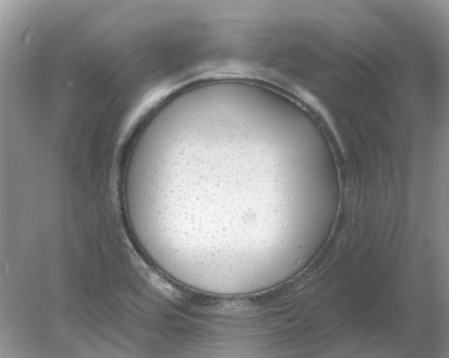 X0000078281464200611172044