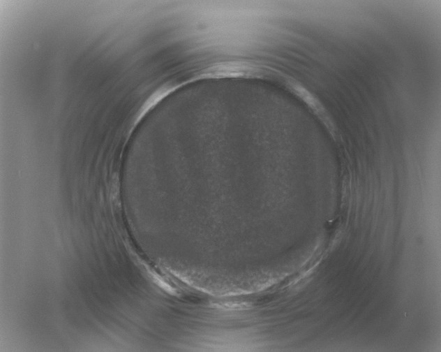 X0000078281465200611172044