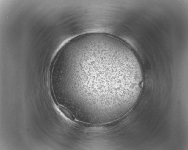 X0000078281468200611172044