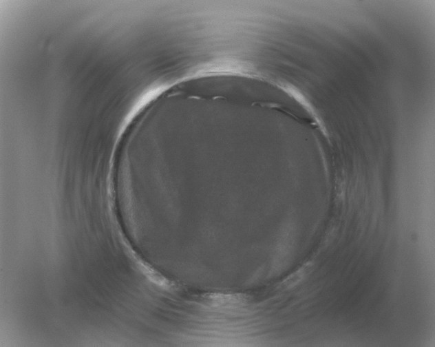 X0000078281469200611172044