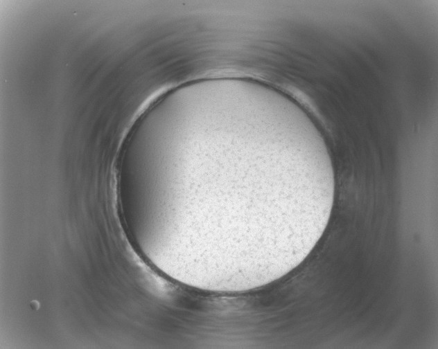 X0000078281476200611172044