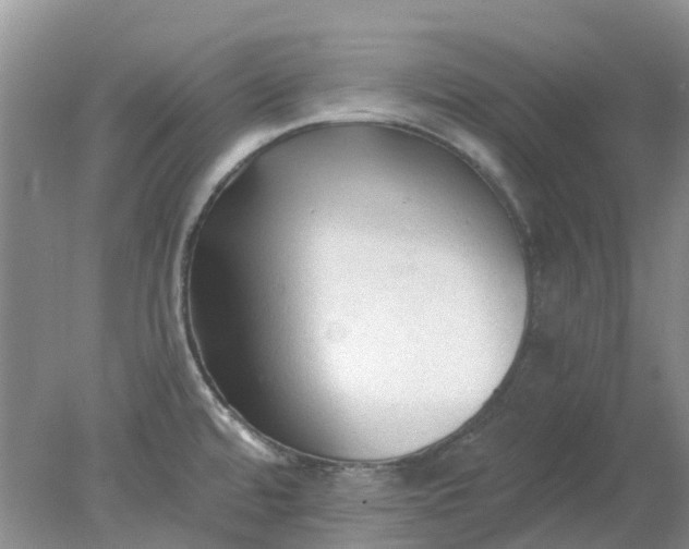 X0000078281480200611172043