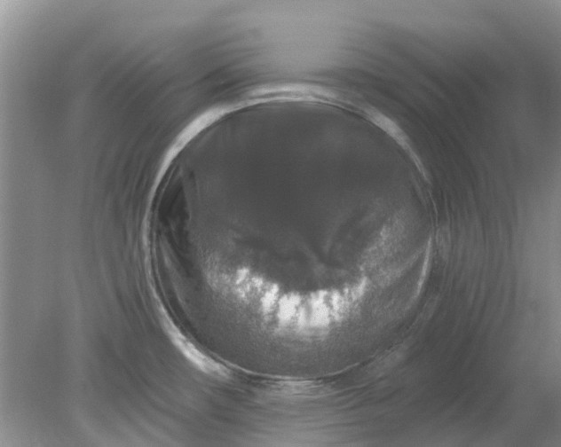 X0000078281482200611172043