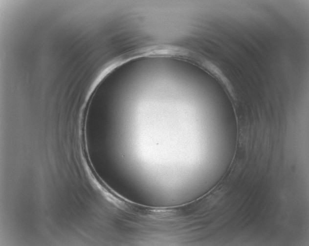 X0000078281483200611172043