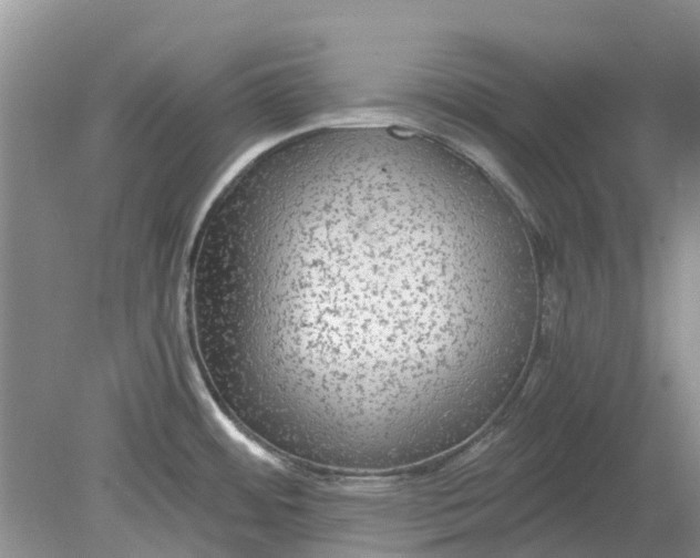 X0000078281484200611172043