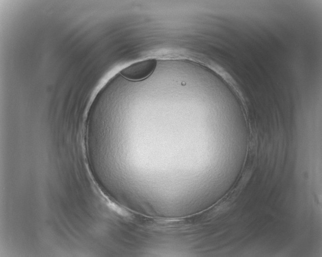 X0000078281486200611172043