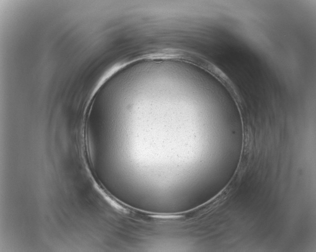 X0000078281487200611172043