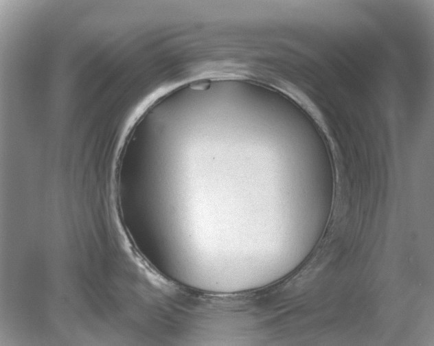 X0000078281488200611172043