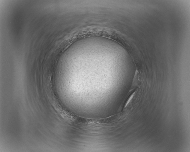 X0000078281489200611172043