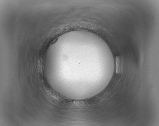 X0000078281491200611172043