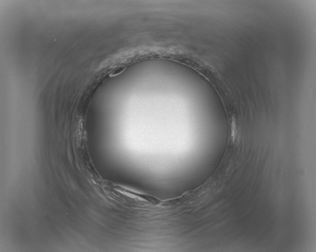 X0000078281492200611172043