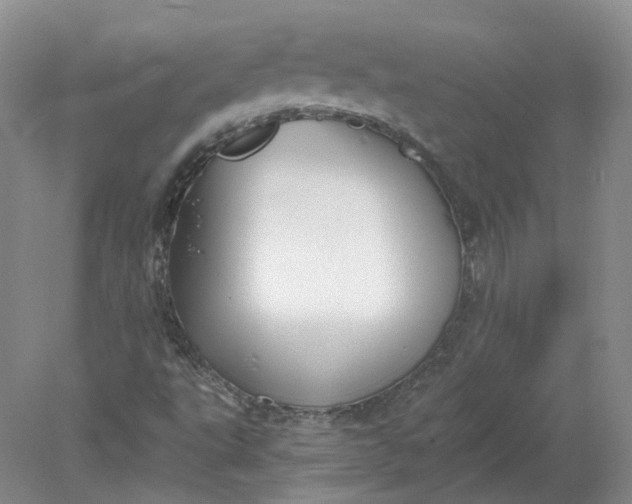 X0000078281495200611172043