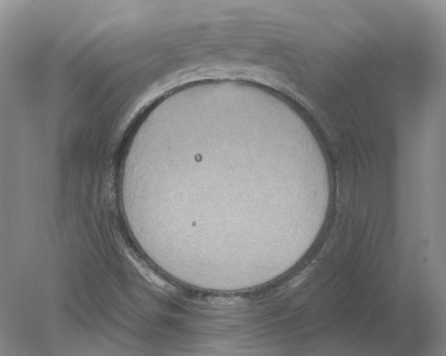 X0000078281498200611172043