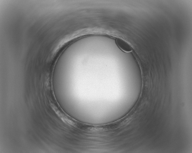 X0000078281499200611172043