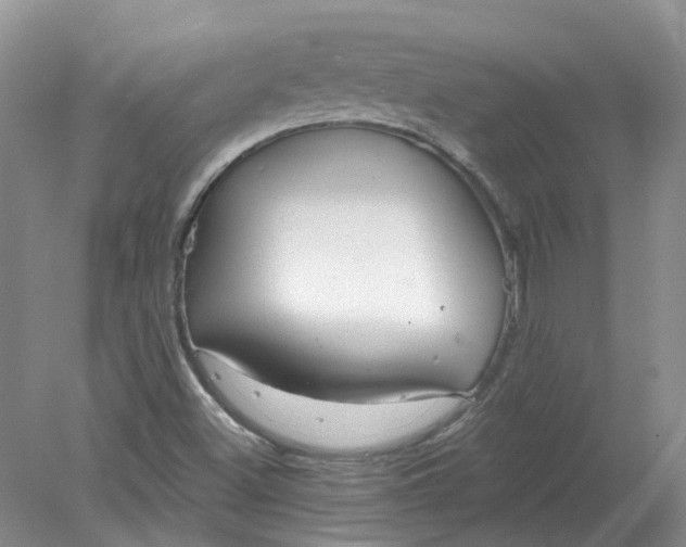 X0000078281500200611172043