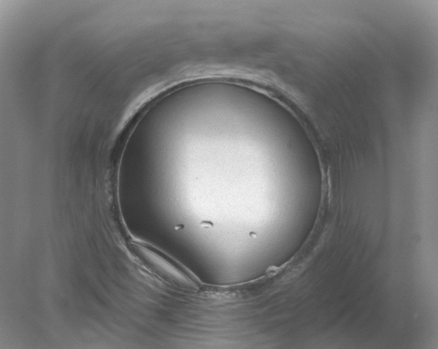 X0000078281501200611172043