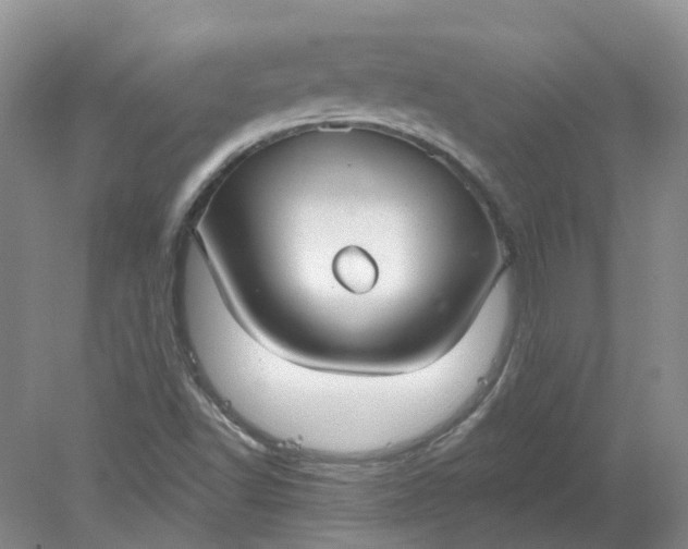 X0000078281502200611172043